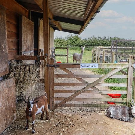 فيلا The Hay Barn تشيستر المظهر الخارجي الصورة